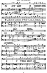 Вагнер Р. Тристан и Изольда (Tristan und Isolde)_Страница_009.jpg