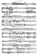 Верди Дж. Арольдо (Aroldo)_Страница_007.jpg