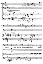 Верди Дж. Симон Бокканегра (Simon Boccanegra)_Страница_005.jpg