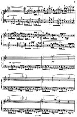 Понкьелли А. Джоконда (La Gioconda)_Страница_005.jpg