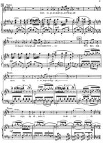 Римский-Корсаков Н. А. Пан Воевода_Страница_007.jpg