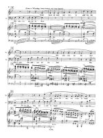 Фалль Л. Золотая птица (Der goldene Vogel)_Страница_006.jpg