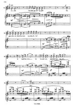 Яначек Л. Путешествия пана Броучека (Výlety páně Broučkovy)_Страница_010.jpg