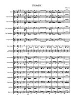 Гномик. Марш. Для детского оркестра. А. Школяр_Страница_1.jpg