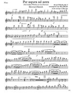 Per aspera ad astra (Auf rauhen Pfaden zu den Sternen) (партии) (2)_Страница_01.jpg