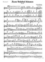 Zum Städtel hinaus. Marsch. Georg Meissner. Bearb. Harry Theis (партии)_Страница_01.jpg