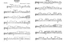 Березка. Вальс. Е. Дрейзин, А. Безыменский. Инстр. В. Шепелева (партии) (2)_Страница_01.jpg