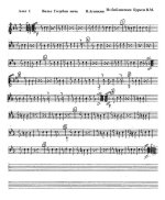 Голубая ночь. Вальс. В. Агапкин (партии)_Страница_01.jpg