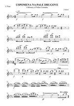 Uspomena na pale drugove. Pogrebni marš (A Memory of Fallen Comrades. Funeral March). I. Radet...jpg