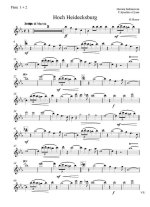 Hoch Heidecksburg. Marsch. Rudolf Herzer - Партии_Страница_01.jpg