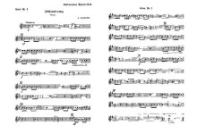 Хризантемы. Фиготин Б (партии)_01.jpg