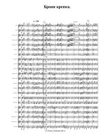 Броня крепка. Марш. На темы песен о танкистах. Аранж. А. Володина — ноты16 [06.12.07] (партиту...jpg