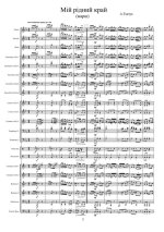 Мій рідний край. Марш. А. Ткачук (партитура)_1.jpg