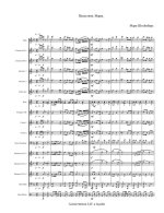 Палестина. Марш. Марк Штейнберг. Обр. и аранж. А. Грустнёва (партитура)_1.jpg