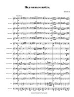 Под южным небом. Бинкин З (партитура)_1.jpg