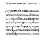 Андалузский танец. Перо Т (партии)_01.jpg