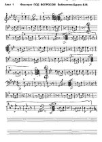 Под вопросом (партии)_01.jpg