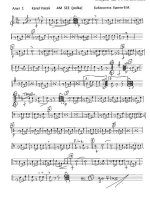 Am See. Vacek K (партии)_01.jpg