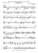 Balkan 1 (партии)_01.jpg