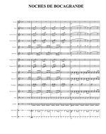 Noches de Bocagrande. Arias Reynel F (партии)_1.jpg