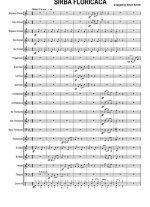 Sirba Floricica (партитура)_01.jpg