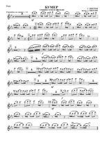 Бумер. Главная тема из одноименного кинофильма. Шнуров С (партии)_01.jpg