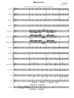 Видели ночь. Из репертуара ВИА «Zdob și Zdub». Цой В (партитура)_01.jpg