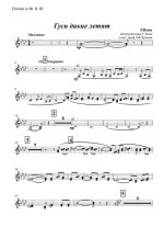 Гуси дикие летят. Яхин Р (партии)_01.jpg