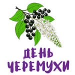 День черемухи..jpg