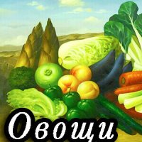 Детские песни про овощи