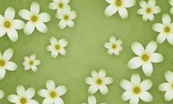 Green_flower_background_4.jpg