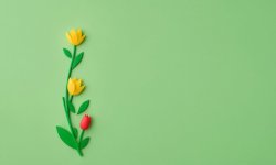 Green_flower_background_9.jpg