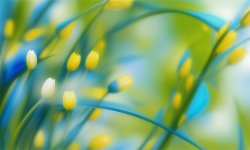 Green_flower_background_12.jpg