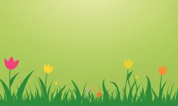 Green_flower_background_16.jpg