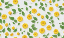 Green_flower_background_19.jpg