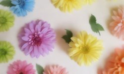 Green_flower_background_21.jpg