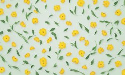 Green_flower_background_27.jpg