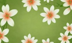 Green_flower_background_42.jpg