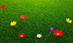 Green_flower_background_55.jpg