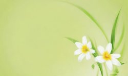Green_flower_background_57.jpg