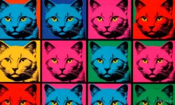 Cats_016.jpg