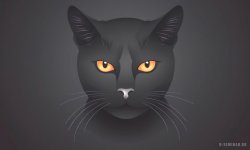 Cats_025.jpg