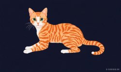 Cats_032.jpg