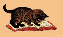 Cats_065.jpg