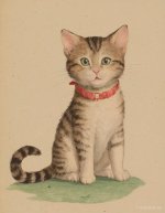 Cats_073.jpg
