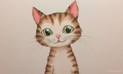 Cats_074.jpg