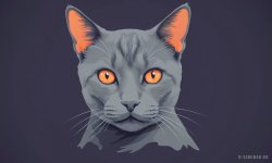 Cats_097.jpg