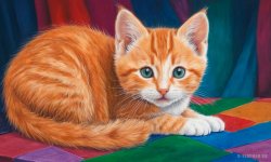 Cats_110.jpg