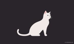 Cats_123.jpg