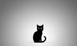 Cats-17.jpg